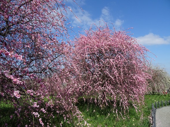 b0299042_10100909.jpg
