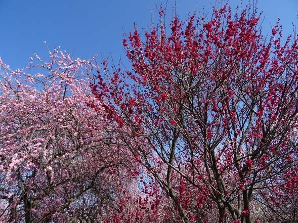 b0299042_10101493.jpg