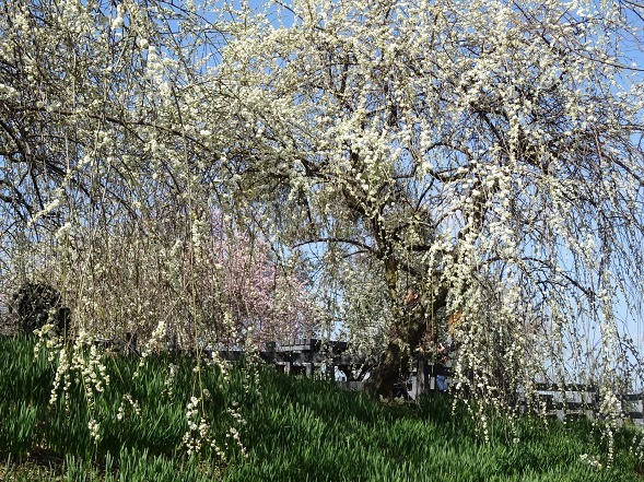 b0299042_10121006.jpg