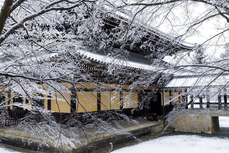 雪の京都2018　南禅寺境内_f0155048_221527.jpg