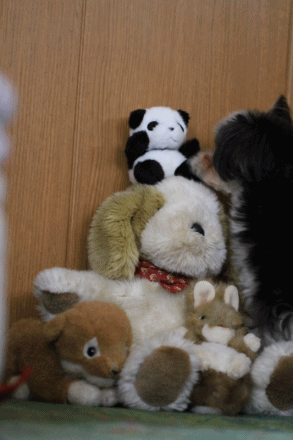 c0145250_15471350.gif