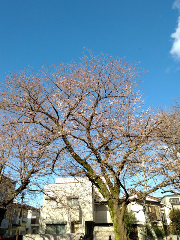 c0058052_19324820.jpg
