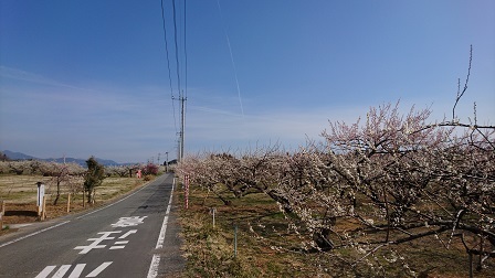 a0208560_12465108.jpg