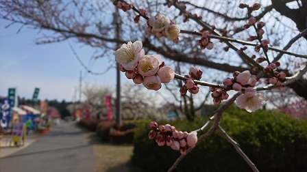 a0208560_12465740.jpg