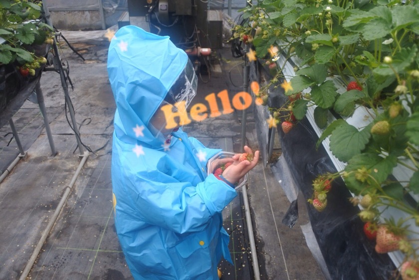 a0295764_23234618.jpeg