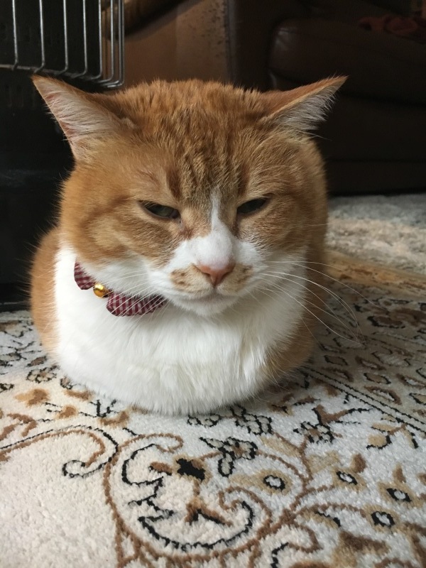 f0363168_06493341.jpeg