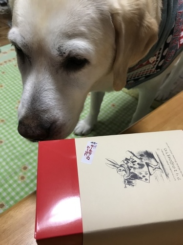 f0315081_21554927.jpeg