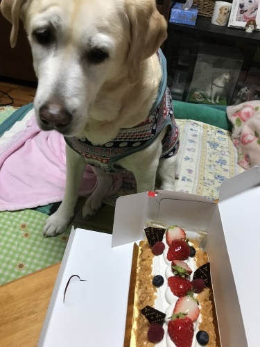 f0315081_21570144.jpeg