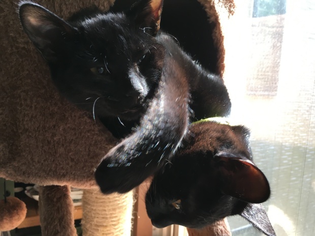 b0377882_23162350.jpeg