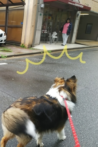 ぽんぬの1日🌷_f0357682_18063899.jpg