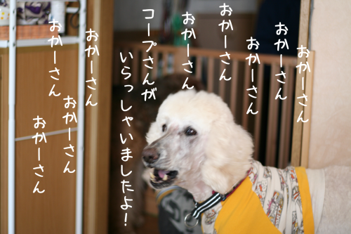a0216583_10545176.png