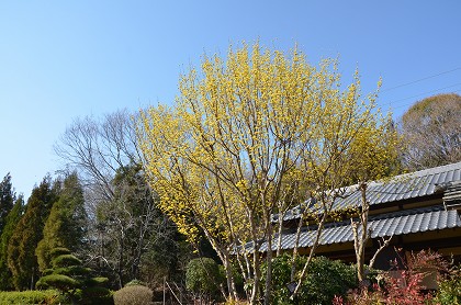 c0229483_11404.jpg