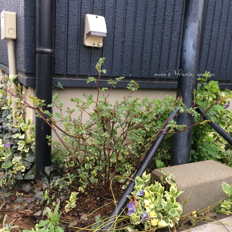 d0350392_22315463.jpeg