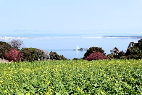 福岡旅行最終篇「能古島」(のこのしま)_c0090198_1944964.jpg