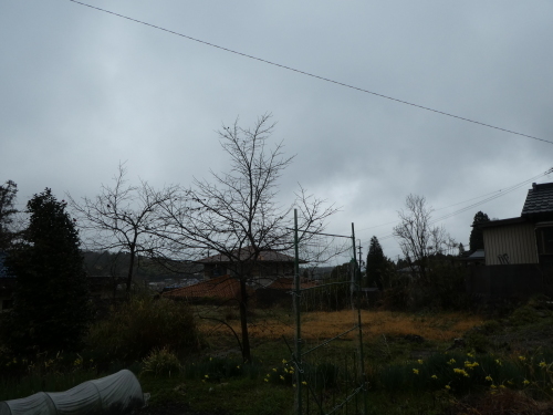 c0108198_15531563.jpg