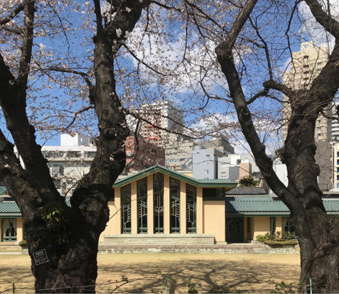 事務所周辺の桜情報！_b0014003_19045869.jpg