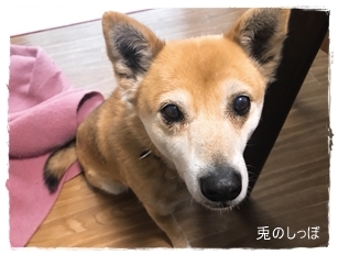 c0190707_23165501.jpeg