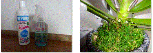 f0231709_11562958.gif