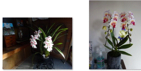 f0231709_11564643.gif