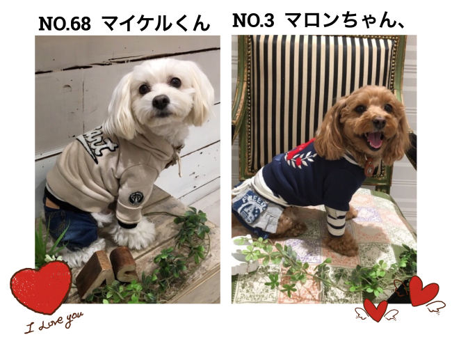 ❤︎as know as de LOVE❤︎カップル大発表❤︎_f0170910_15165684.jpeg