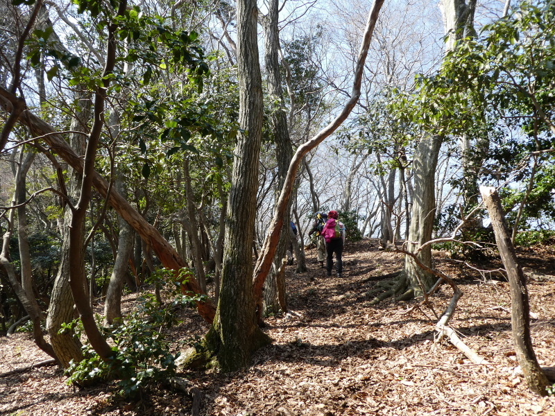 雪の無くなった　烏帽子岳(864.8M)  に登る_d0170615_18384350.jpg