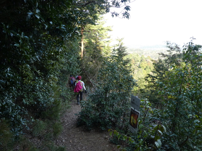 d0170615_18444811.jpg