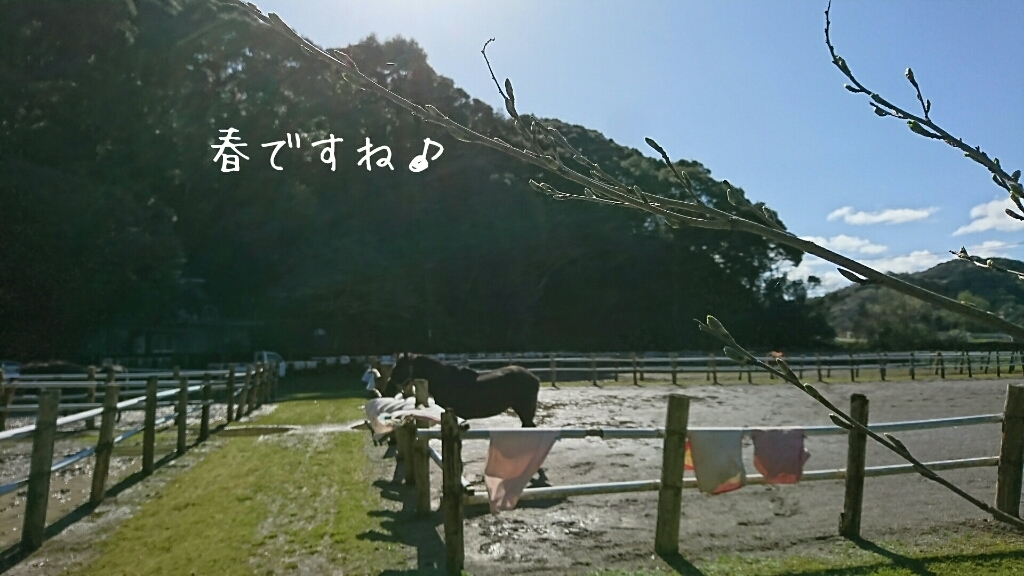 b0187620_18011885.jpg