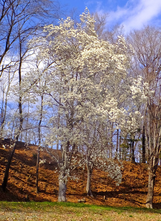 b0215220_08460219.jpg