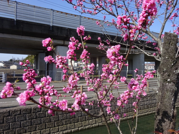 b0163121_21332178.jpg
