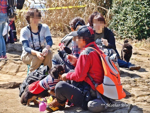 第24回マザーウルフ遠足 鎌倉天園レポート_e0191026_16472230.jpg