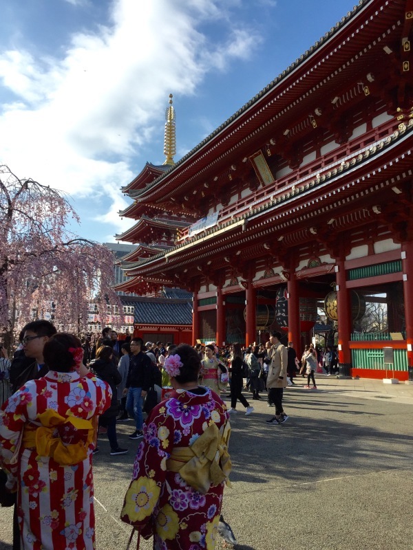 KIMONOでASAKUSA_f0229926_12390471.jpeg