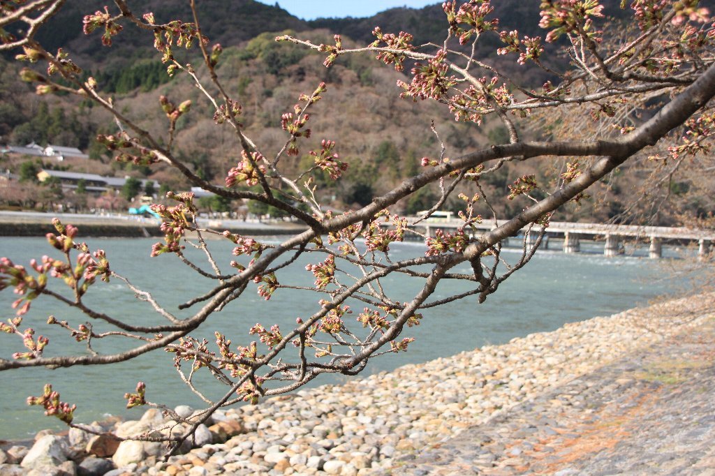 c0355331_10501500.jpg