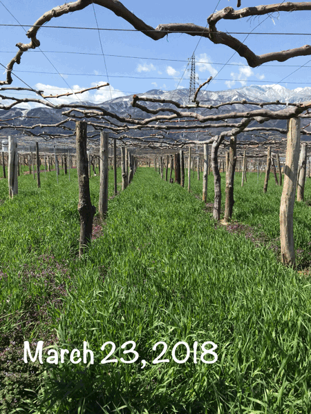 c0318835_20301993.gif
