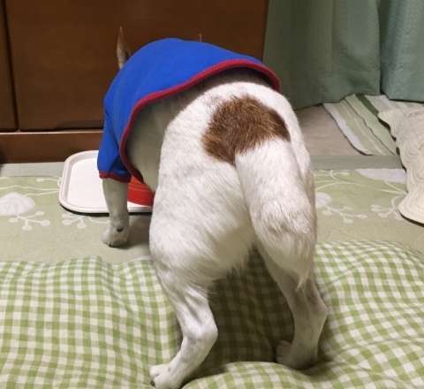 a0314846_09511198.jpeg