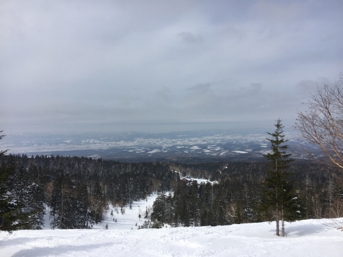 最後の雪遊び～三段山スノーシュー_e0326953_17212236.jpg