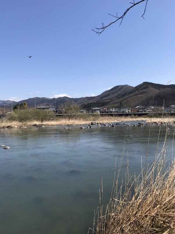 a0215155_16564885.jpeg