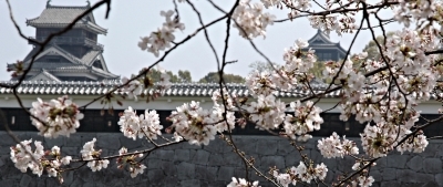 a0016161_08145318.jpg