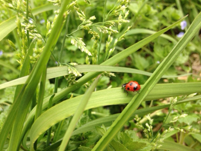 MOMOKOとGREEN***_e0290872_22100500.jpg