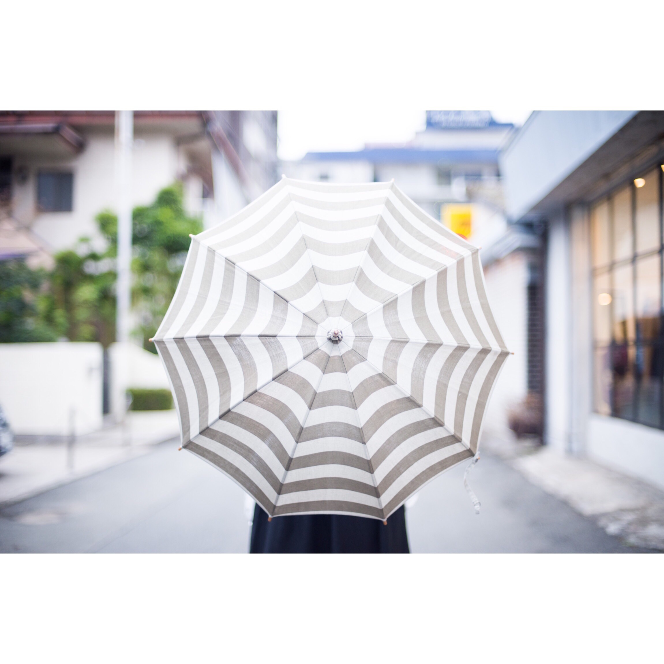 Umbrella reefの受注会のお知らせ!_d0158579_11202366.jpg