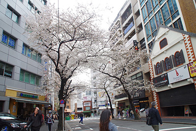 3月23日(金)の109前交差点_b0056983_12001479.jpg