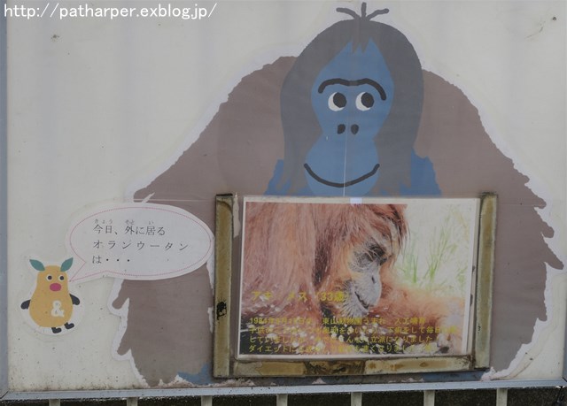 ２０１８年２月　東山動物園　その２_a0052986_23594645.jpg