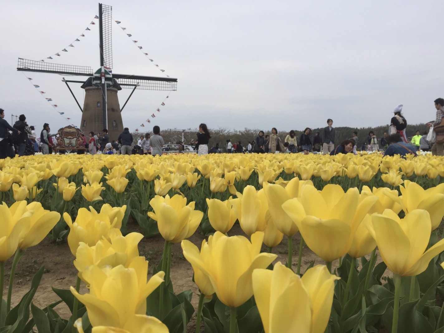 a0027290_21021510.jpeg
