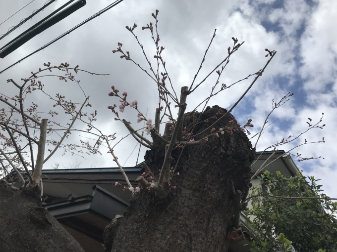 a0027290_22474174.jpeg