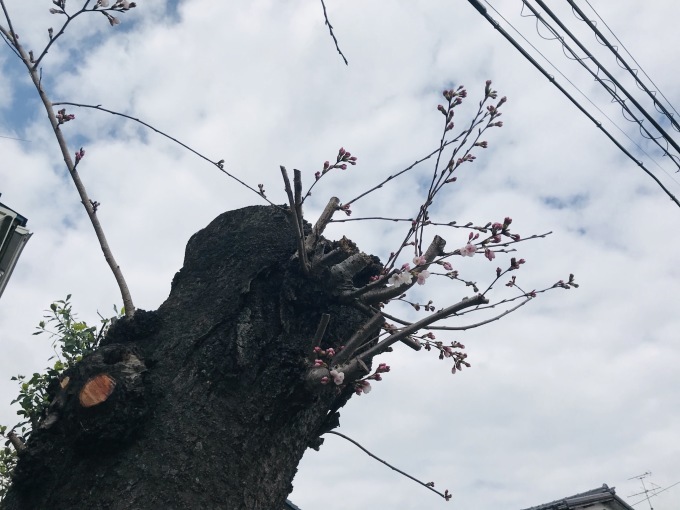 a0027290_22475675.jpeg