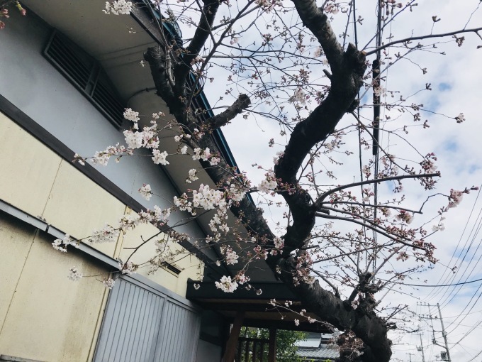 a0027290_22490650.jpeg