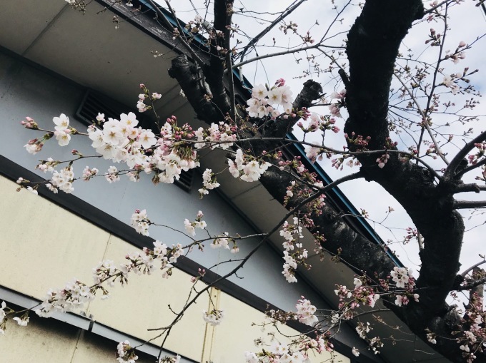 a0027290_22491991.jpeg