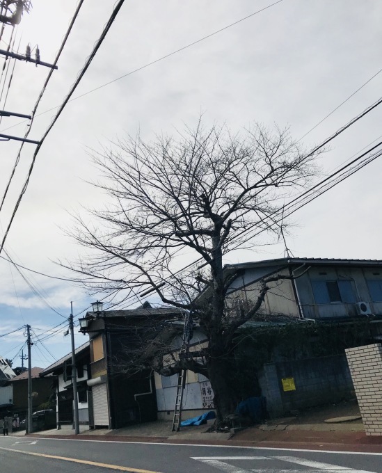 a0027290_22560347.jpeg