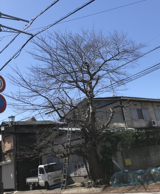 a0027290_22562121.jpeg