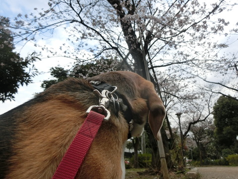 a0319693_2153839.jpg