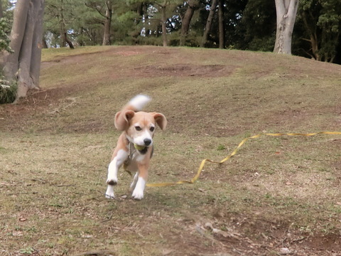 a0319693_935495.jpg